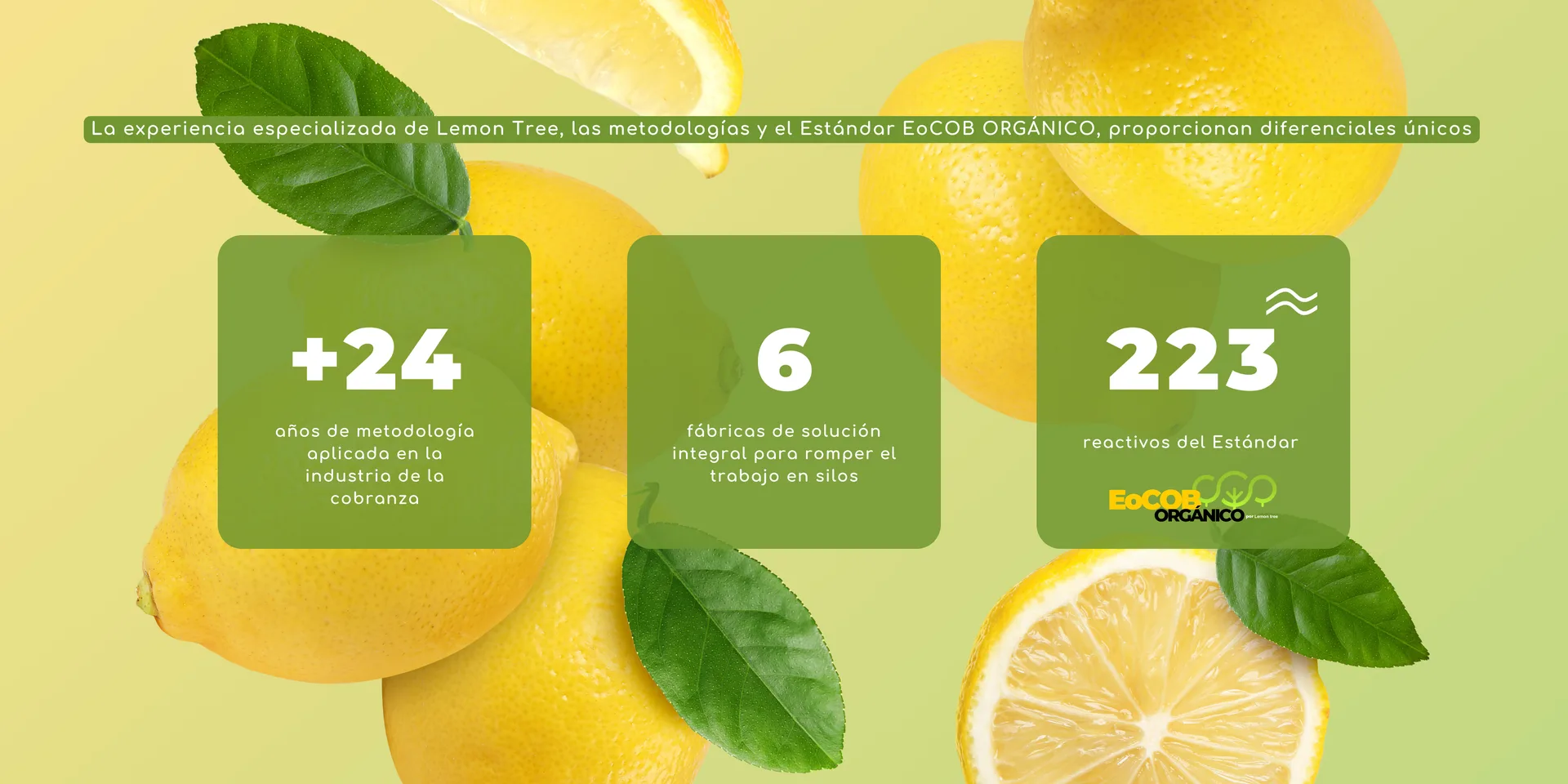 La experiencia de Lemon Tree: +24 años de metodología, 6 fábricas de solución integral, 223 reactivos del Estándar EoCOB Orgánico